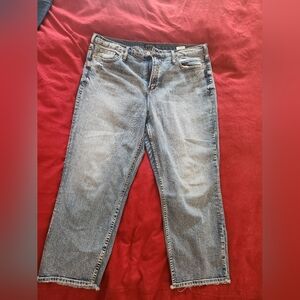Silver Co. Straight Leg Cropped Blue Denim Jeans